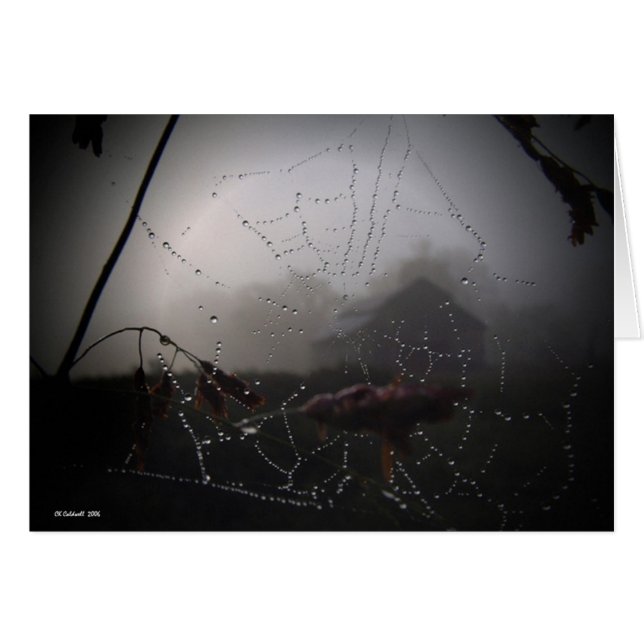 Misty Morning Sunrise (Front Horizontal)