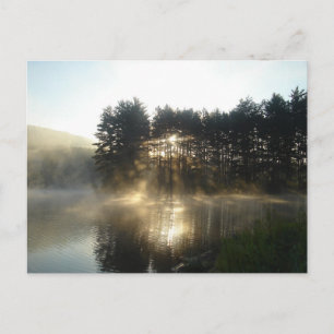 Misty Morning Sunrise Allegheny State Park Postcard
