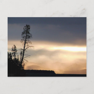 Misty morning sunrise postcard