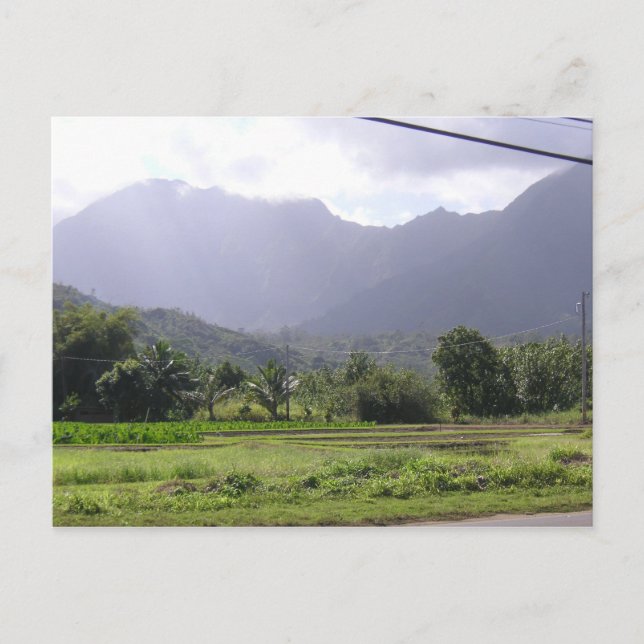 Misty Mountains in Kauai, Hawaii Postcard (Front)
