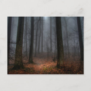Misty Path to Flat Top Mountain Postcard