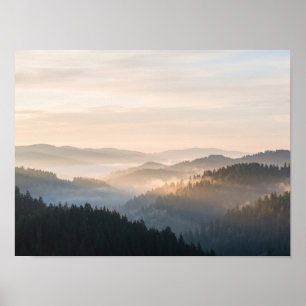 Misty Pine Forest Hills at Sunrise Poster
