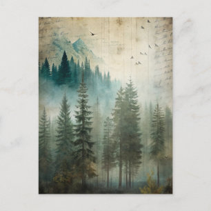 Misty Pine Forest Nature Adventure  Postcard