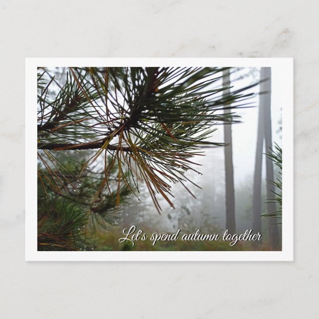 Misty Pine Needles Custom Postcard (Front)