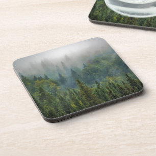 Misty pine trees forest landscape coaster