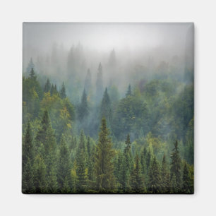 Misty pine trees forest landscape magnet