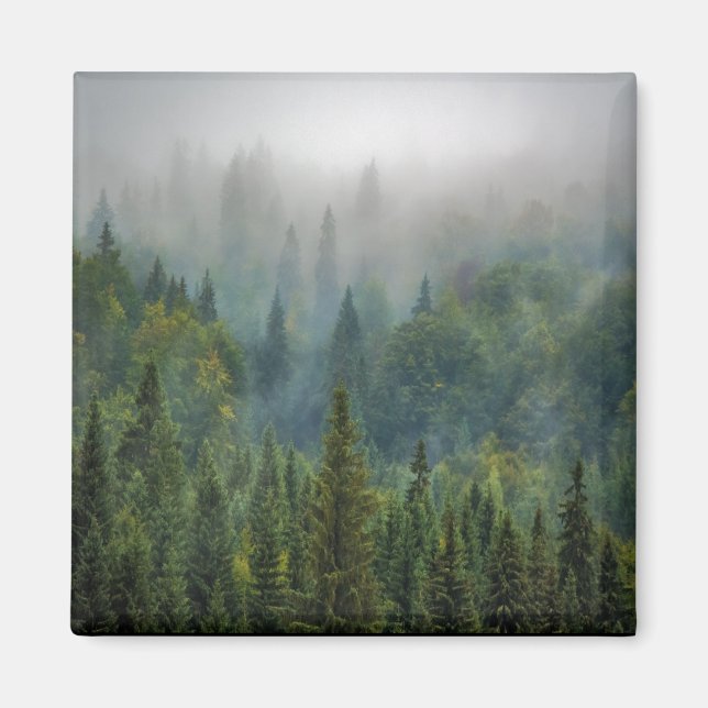 Misty pine trees forest landscape magnet (Front)