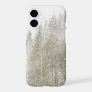 Misty Pines