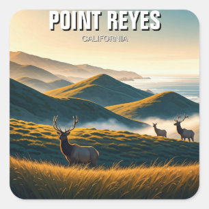 Misty Point Reyes National Seashore Elk Square Sticker