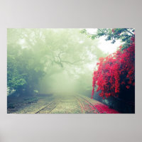 Misty Railroad Tracks Scenic Photo