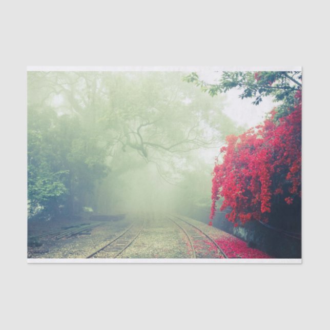 Misty Railroad Tracks Scenic Photo Tissue Paper (Front)