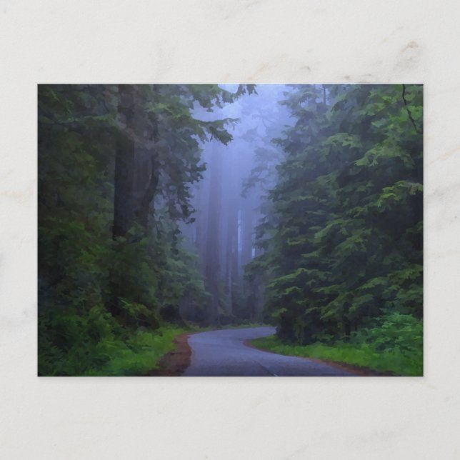 Misty Redwood National Park Postcard (Front)