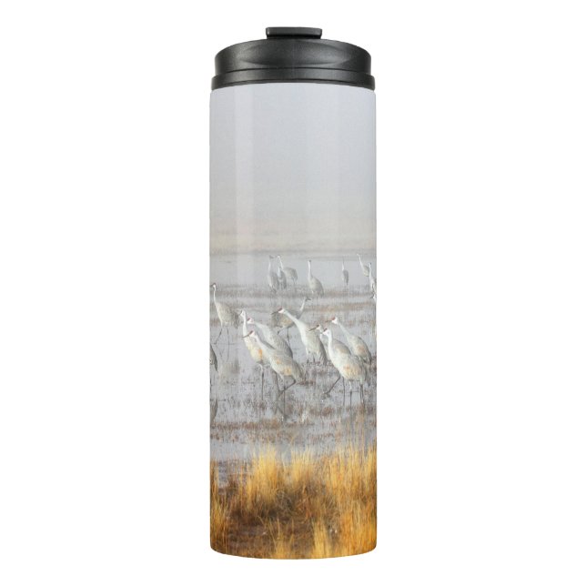 Misty Sandhill Cranes Thermal Tumbler (Front)