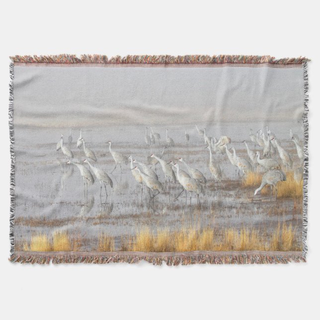 Misty Sandhill Cranes Throw Blanket (Front)