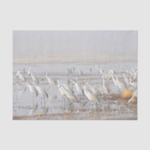 Misty Sandhill Cranes Tissue Paper