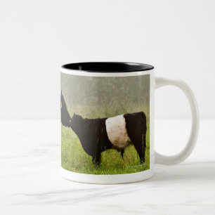 Misty scene of belted galloway cow mothering her Two-Tone coffee mug