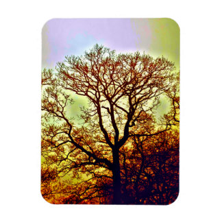 MISTY SUN TREES MAGNET