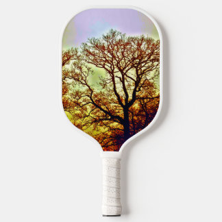 MISTY SUN TREES PICKLEBALL PADDLE