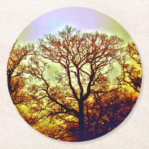 MISTY SUN TREES ROUND PAPER COASTER