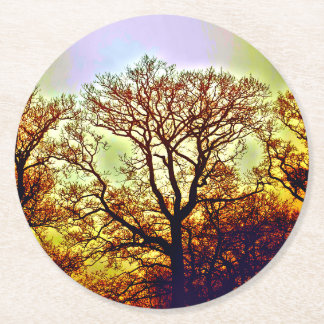 MISTY SUN TREES ROUND PAPER COASTER