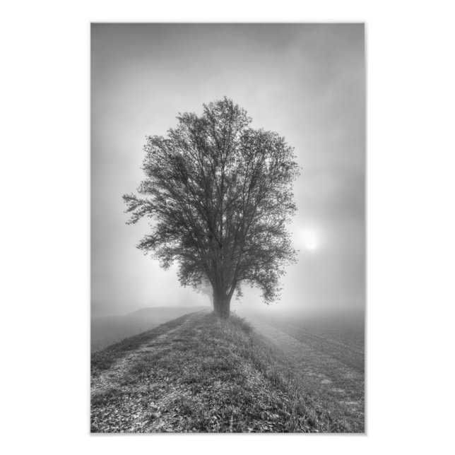 Misty Sunrise Photo Print (Front)