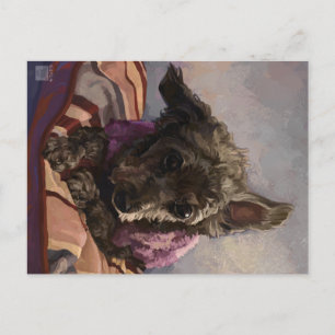 Misty the Poodle Postcard