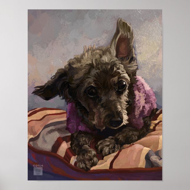 Misty the Poodle Poster (Front)