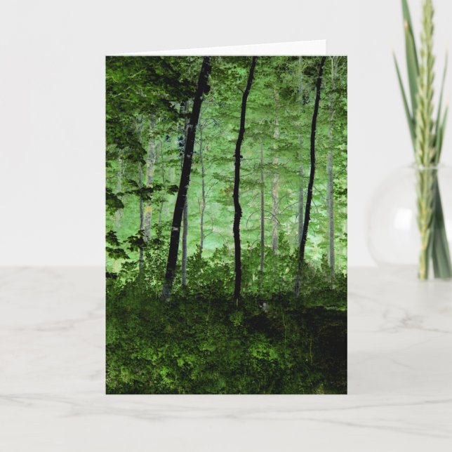 Misty Trees: Adirondack Forest Scene Altered Photo Card (Front)