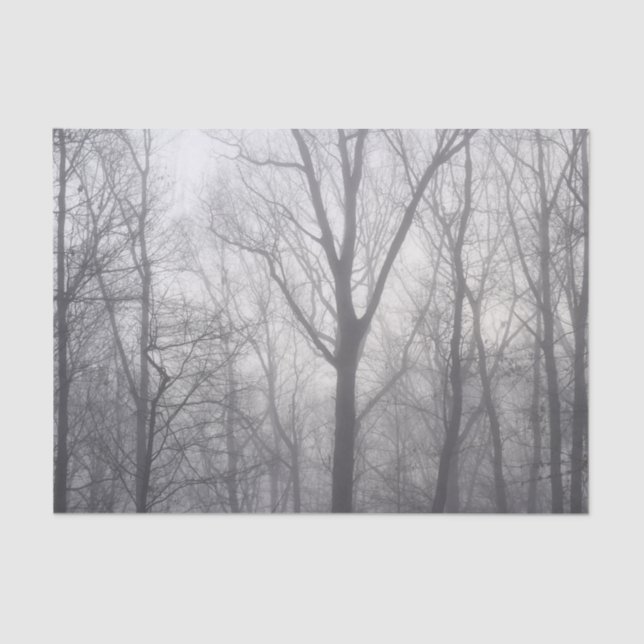 Misty Trees Grey Woodland Tissue Paper (Front)