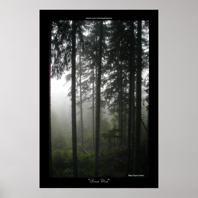 Misty Trees Wilderness Forest Photo Print (Front)