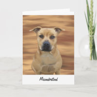 Misunderstood Pit Bull Terrier Inmate Greeting