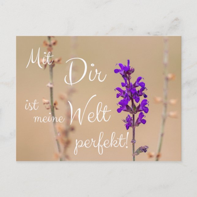 Mit Dir ist meine Welt perfekt! Postcard (Front)