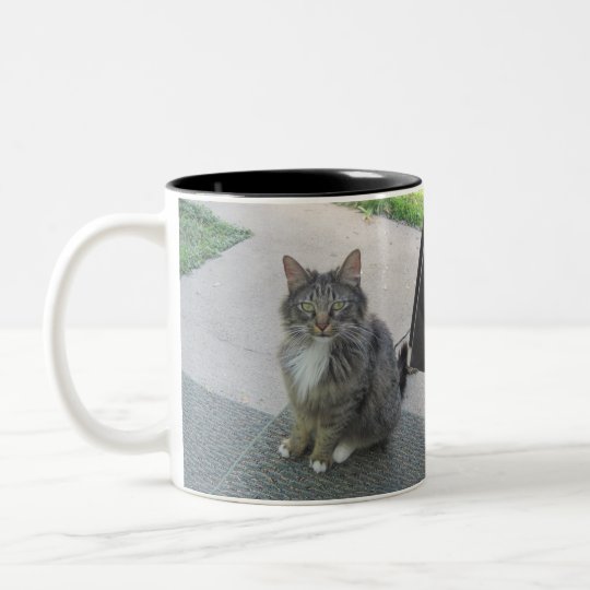 Mita The Cat Mug