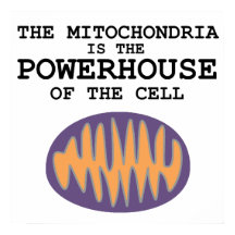 Mitochondria is The Powerhouse - Poster
