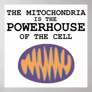 Mitochondria is The Powerhouse - Poster