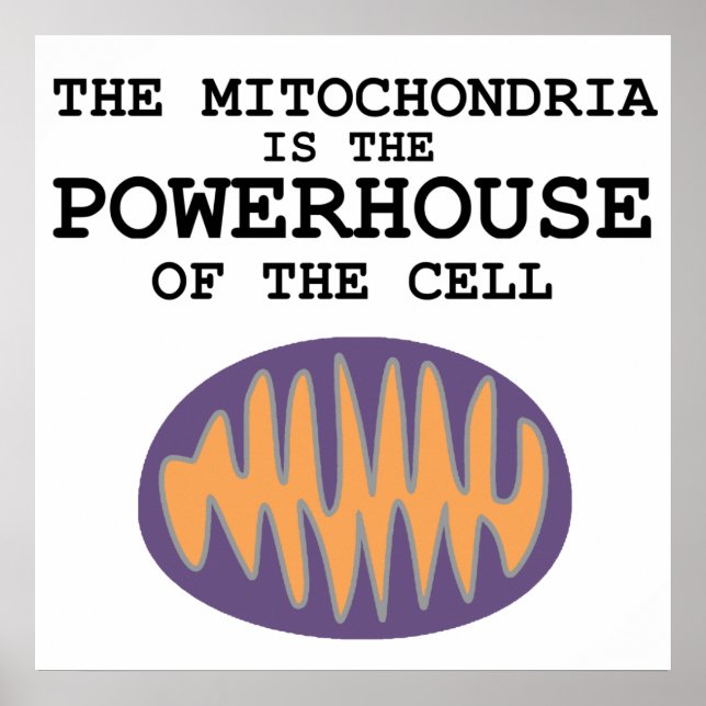 Mitochondria is The Powerhouse - Poster (Front)