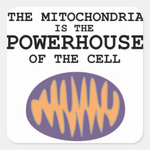Mitochondria is The Powerhouse - Sticker