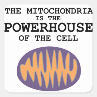 Mitochondria is The Powerhouse - Sticker