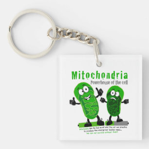 Mitochondria Powerhouse of the Cell Key Ring
