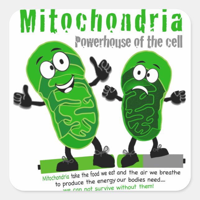 Mitochondria Powerhouse of the Cell Square Sticker (Front)