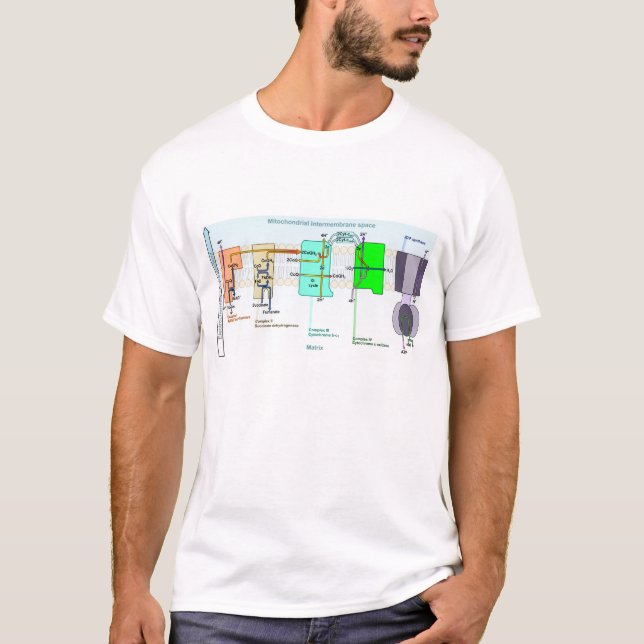 Mitonchondrial Intermembrane Space Diagram T-Shirt (Front)