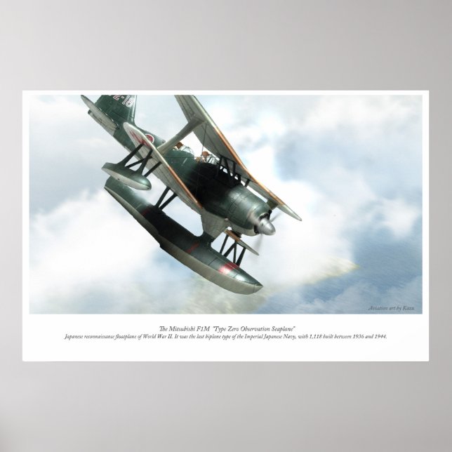 Mitsubishi F1M Poster (Front)