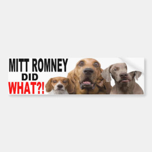 MITT ROMNEY DID WHAT?! Dog On Roof BUMPER STICKER