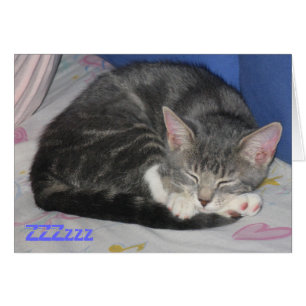 MIttens Kitten Sq Nap Card