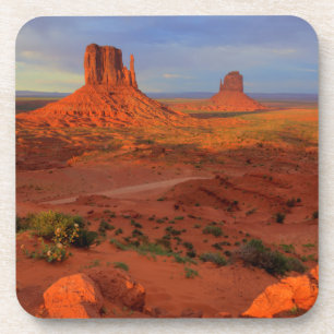 Mittens, Monument valley, AZ Coaster