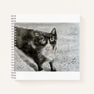 Mittens the kitten on a journal