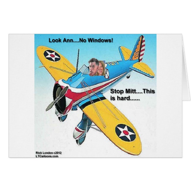Mitts Windowless Aeroplane Funny Gifts & Tees (Front Horizontal)