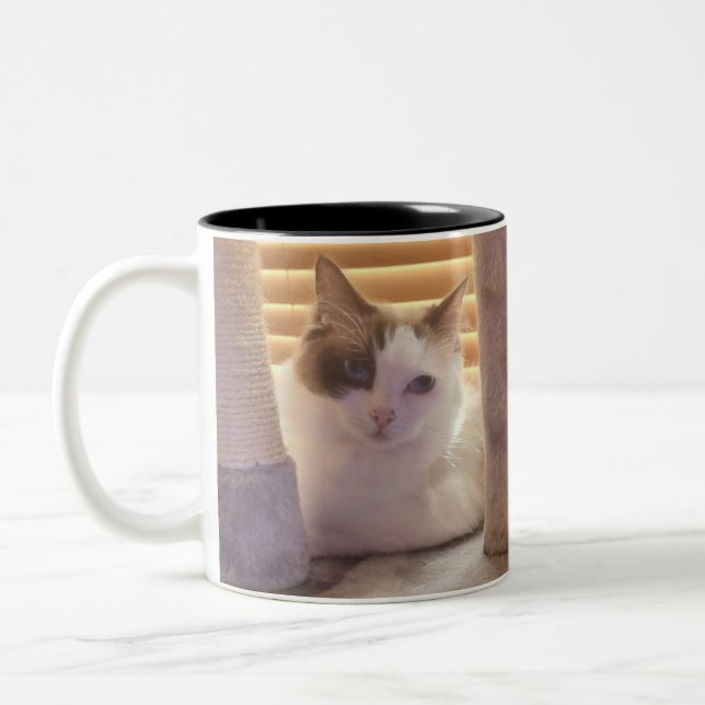 Mitzy and Cleo Two-Tone Coffee Mug (Left)
