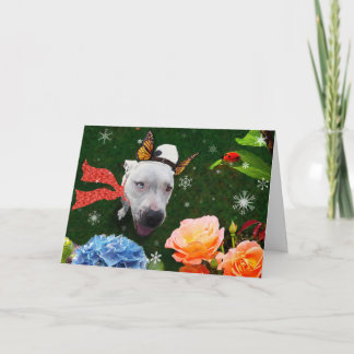 Mitzy the Mariposa, Holiday Greeting Card