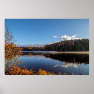 Mix of coloured trees at Haviland Cove Poster